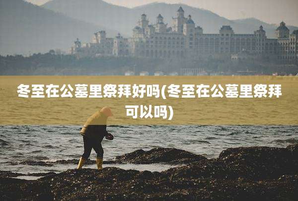 冬至在公墓里祭拜好吗(冬至在公墓里祭拜可以吗)