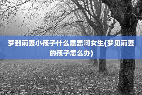 梦到前妻小孩子什么意思啊女生(梦见前妻的孩子怎么办)
