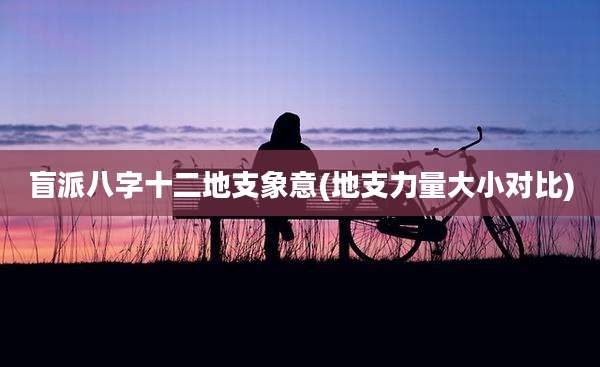 盲派八字十二地支象意(地支力量大小对比)