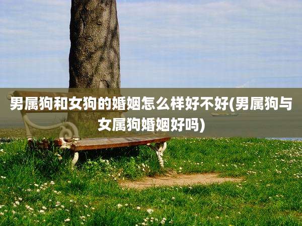 男属狗和女狗的婚姻怎么样好不好(男属狗与女属狗婚姻好吗)