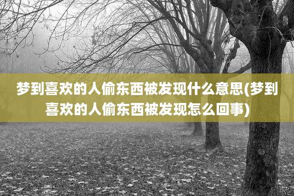 梦到喜欢的人偷东西被发现什么意思(梦到喜欢的人偷东西被发现怎么回事)