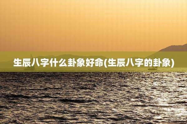 生辰八字什么卦象好命(生辰八字的卦象)