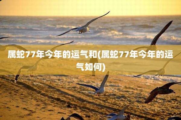 属蛇77年今年的运气和(属蛇77年今年的运气如何)