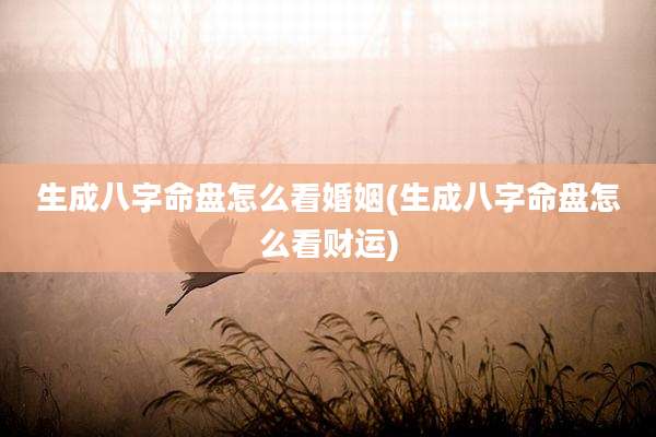 生成八字命盘怎么看婚姻(生成八字命盘怎么看财运)