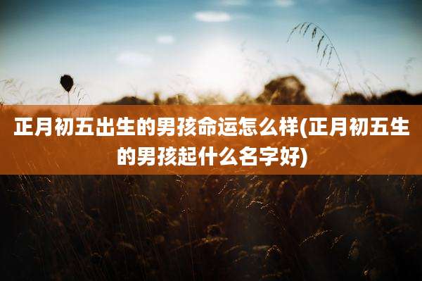 正月初五出生的男孩命运怎么样(正月初五生的男孩起什么名字好)