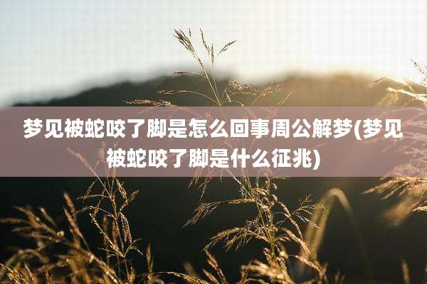 梦见被蛇咬了脚是怎么回事周公解梦(梦见被蛇咬了脚是什么征兆)