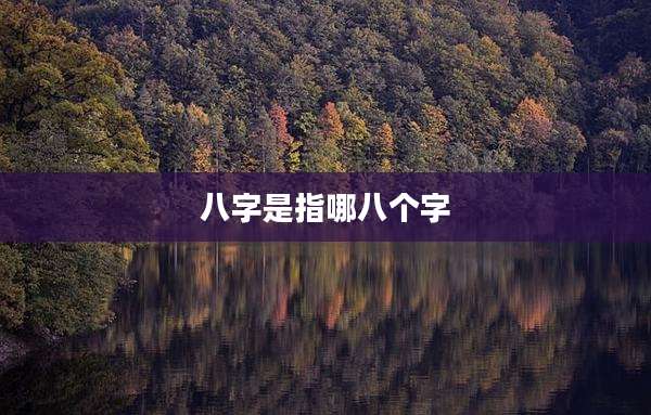 八字是指哪八个字