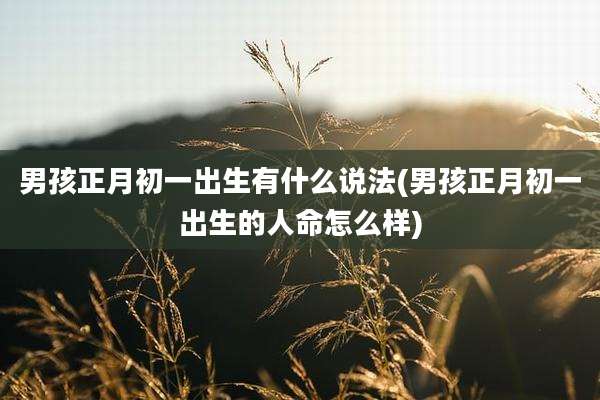 男孩正月初一出生有什么说法(男孩正月初一出生的人命怎么样)