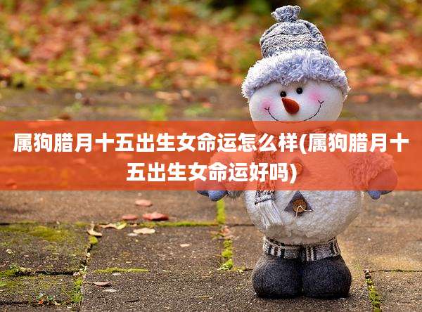 属狗腊月十五出生女命运怎么样(属狗腊月十五出生女命运好吗)