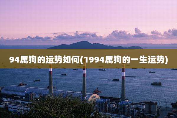 94属狗的运势如何(1994属狗的一生运势)
