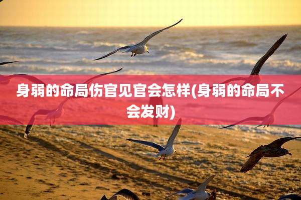 身弱的命局伤官见官会怎样(身弱的命局不会发财)