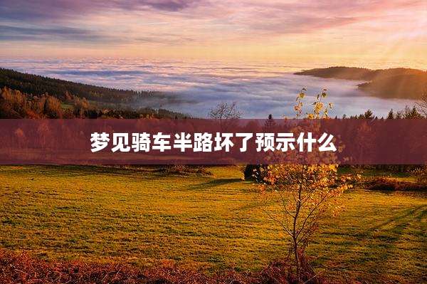梦见骑车半路坏了预示什么