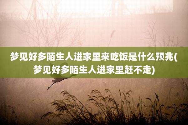 梦见好多陌生人进家里来吃饭是什么预兆(梦见好多陌生人进家里赶不走)