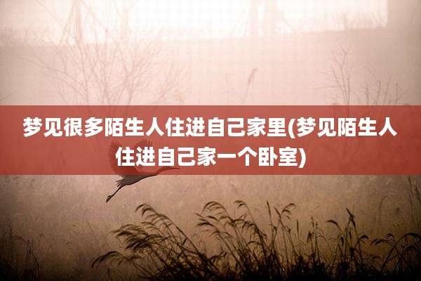 梦见很多陌生人住进自己家里(梦见陌生人住进自己家一个卧室)