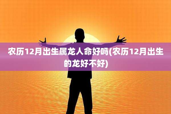 农历12月出生属龙人命好吗(农历12月出生的龙好不好)