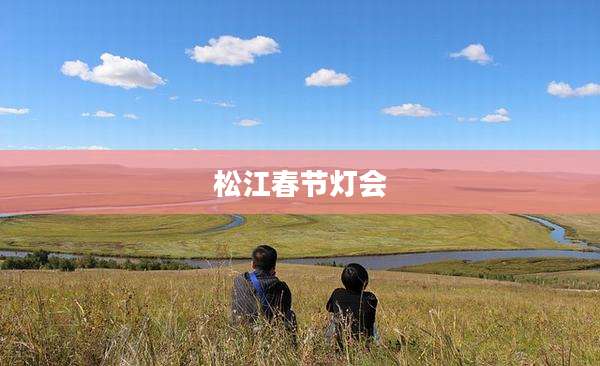 松江春节灯会