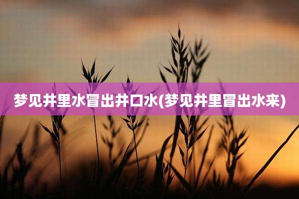 梦见井里水冒出井口水(梦见井里冒出水来)