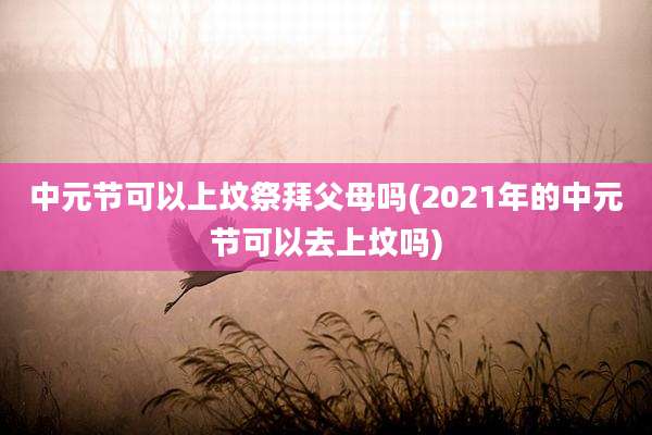 中元节可以上坟祭拜父母吗(2021年的中元节可以去上坟吗)