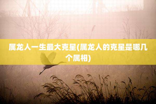 属龙人一生最大克星(属龙人的克星是哪几个属相)