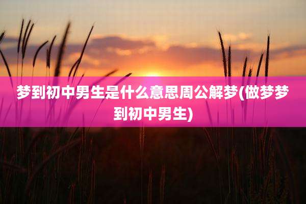 梦到初中男生是什么意思周公解梦(做梦梦到初中男生)