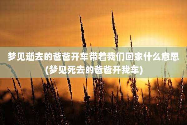 梦见逝去的爸爸开车带着我们回家什么意思(梦见死去的爸爸开我车)
