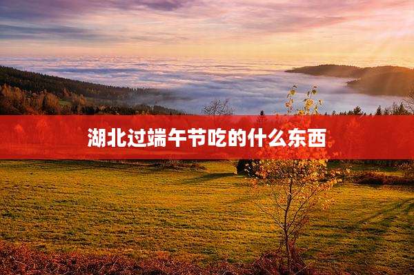 湖北过端午节吃的什么东西