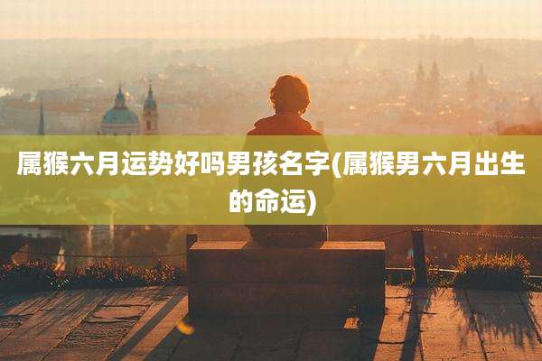 属猴六月运势好吗男孩名字(属猴男六月出生的命运)