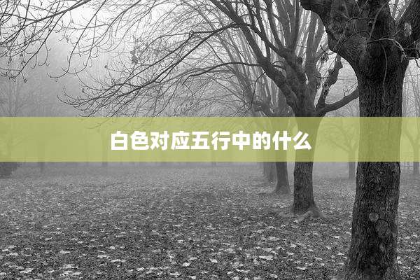 白色对应五行中的什么