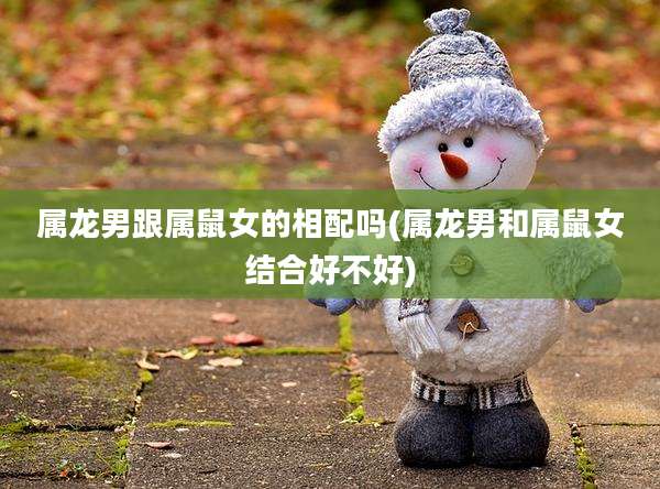 属龙男跟属鼠女的相配吗(属龙男和属鼠女结合好不好)