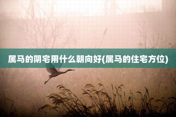 属马的阴宅用什么朝向好(属马的住宅方位)