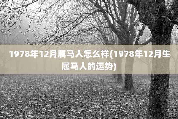 1978年12月属马人怎么样(1978年12月生属马人的运势)