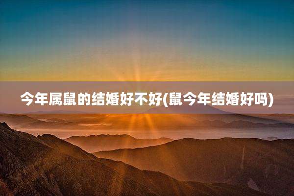 今年属鼠的结婚好不好(鼠今年结婚好吗)