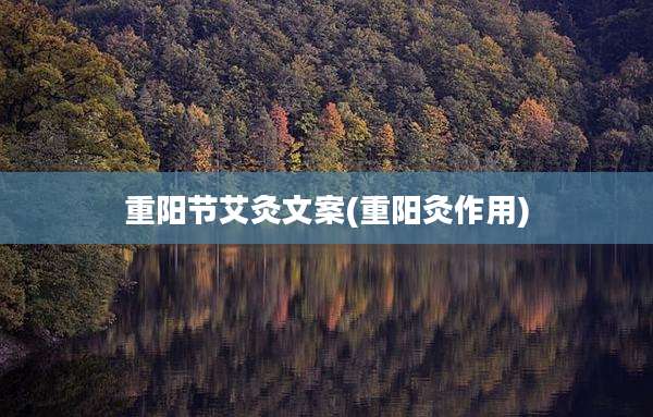 重阳节艾灸文案(重阳灸作用)