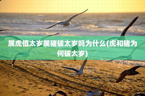 属虎值太岁属猪破太岁吗为什么(虎和猪为何破太岁)