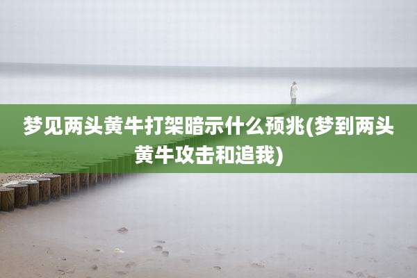 梦见两头黄牛打架暗示什么预兆(梦到两头黄牛攻击和追我)