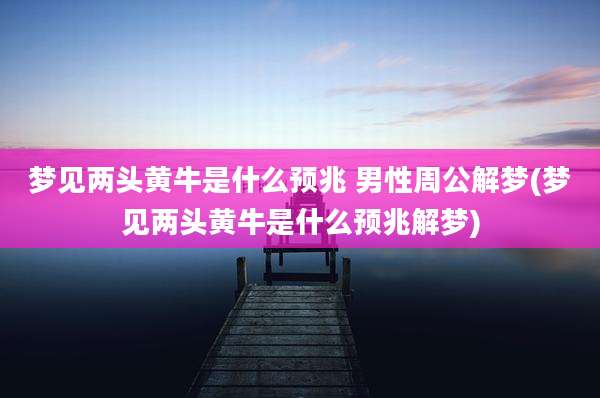 梦见两头黄牛是什么预兆 男性周公解梦(梦见两头黄牛是什么预兆解梦)