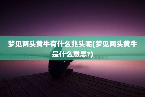 梦见两头黄牛有什么兆头呢(梦见两头黄牛是什么意思?)