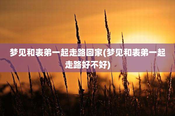 梦见和表弟一起走路回家(梦见和表弟一起走路好不好)