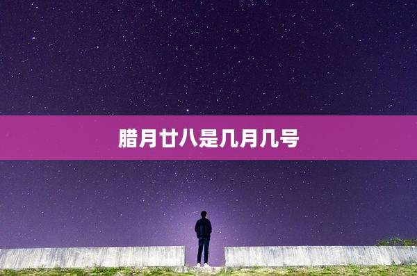 腊月廿八是几月几号