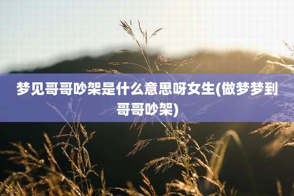 梦见哥哥吵架是什么意思呀女生(做梦梦到哥哥吵架)