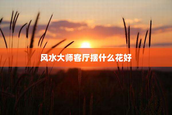 风水大师客厅摆什么花好