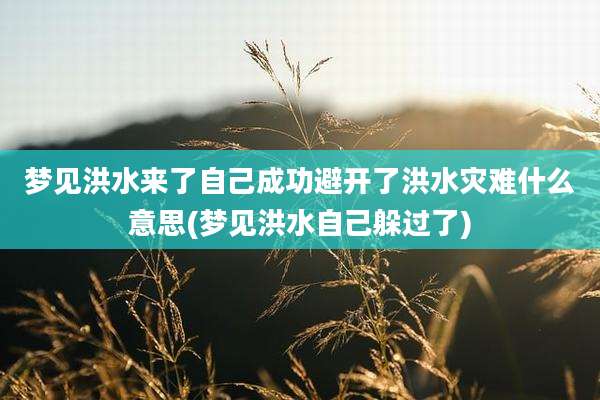 梦见洪水来了自己成功避开了洪水灾难什么意思(梦见洪水自己躲过了)