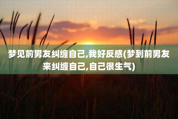 梦见前男友纠缠自己,我好反感(梦到前男友来纠缠自己,自己很生气)