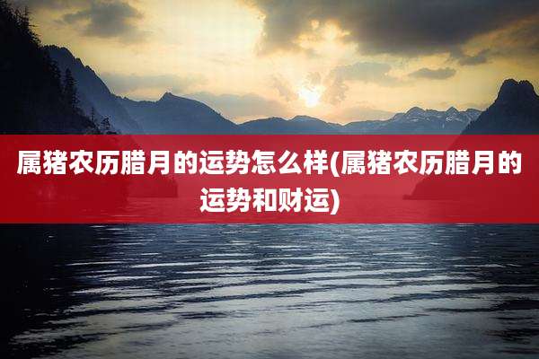 属猪农历腊月的运势怎么样(属猪农历腊月的运势和财运)