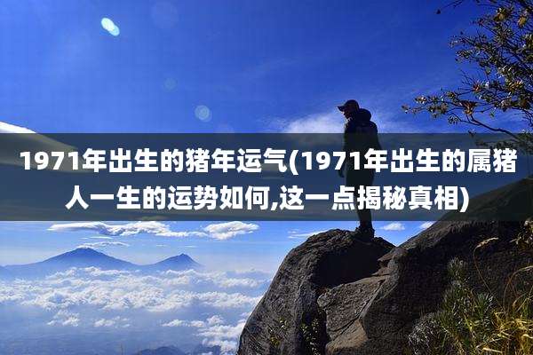 1971年出生的猪年运气(1971年出生的属猪人一生的运势如何,这一点揭秘真相)