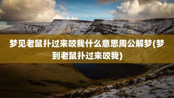 梦见老鼠扑过来咬我什么意思周公解梦(梦到老鼠扑过来咬我)