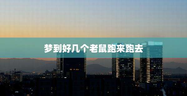 梦到好几个老鼠跑来跑去