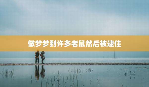 做梦梦到许多老鼠然后被逮住