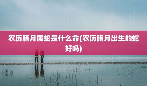 农历腊月属蛇是什么命(农历腊月出生的蛇好吗)