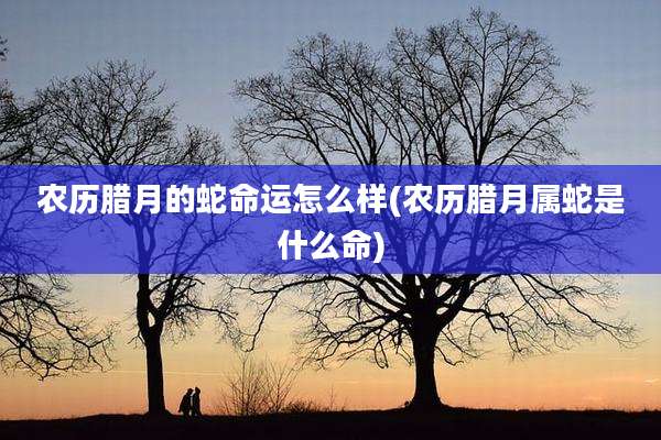 农历腊月的蛇命运怎么样(农历腊月属蛇是什么命)